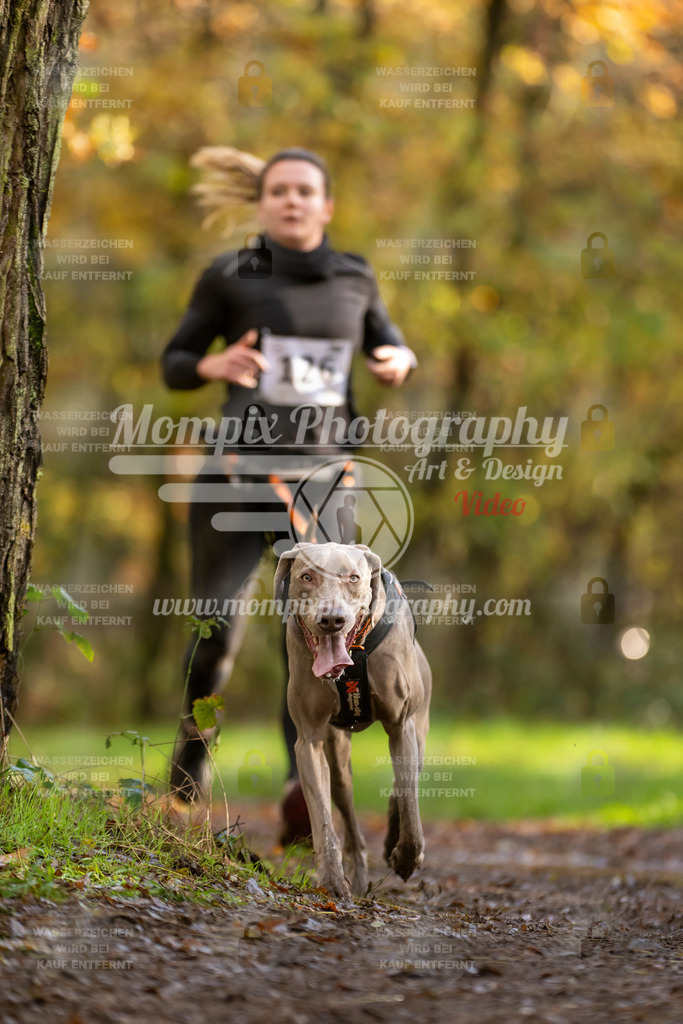 MompixPhotography_Bischwiller23_Canicross-119 | PayLife