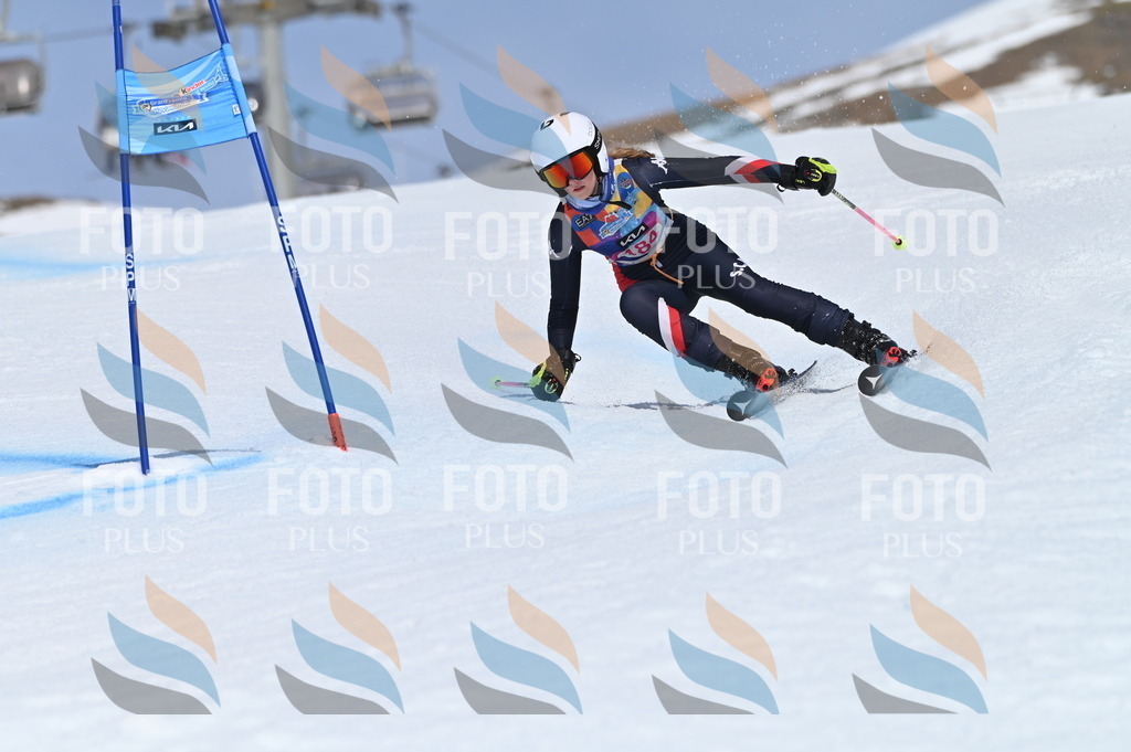 BGV_0691 | holidayphoto