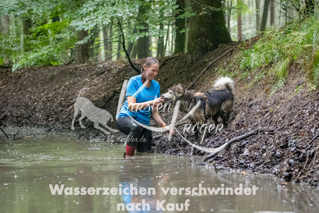 1336_ZZ90844-Bearbeitet | kk-dogfotos