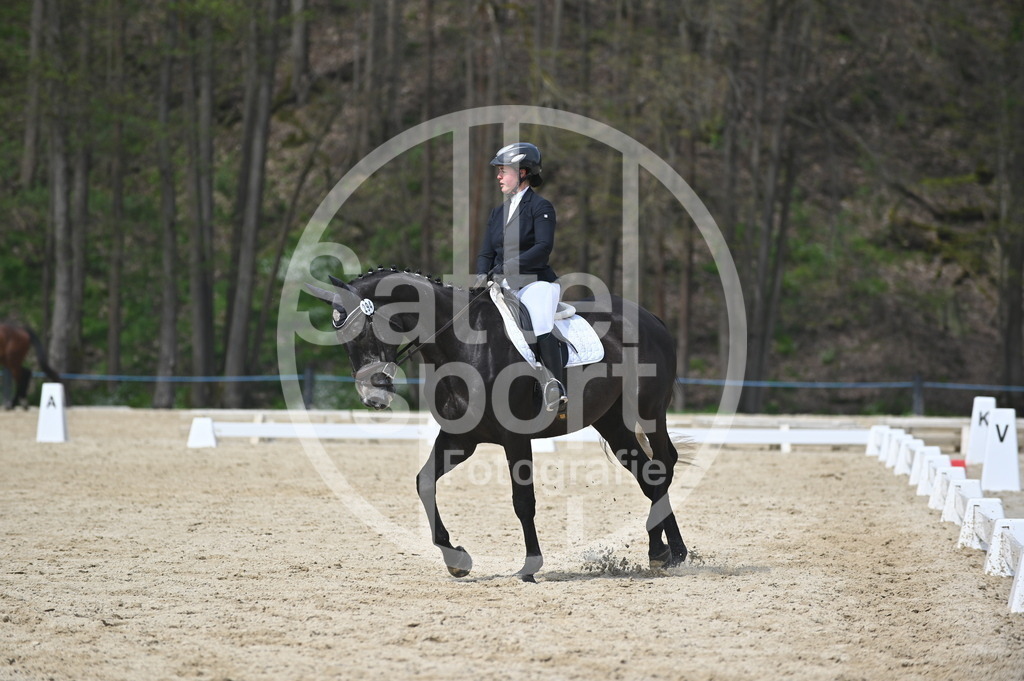 DSC_2996 | sattelsport - Realisiert mit Pictrs.com