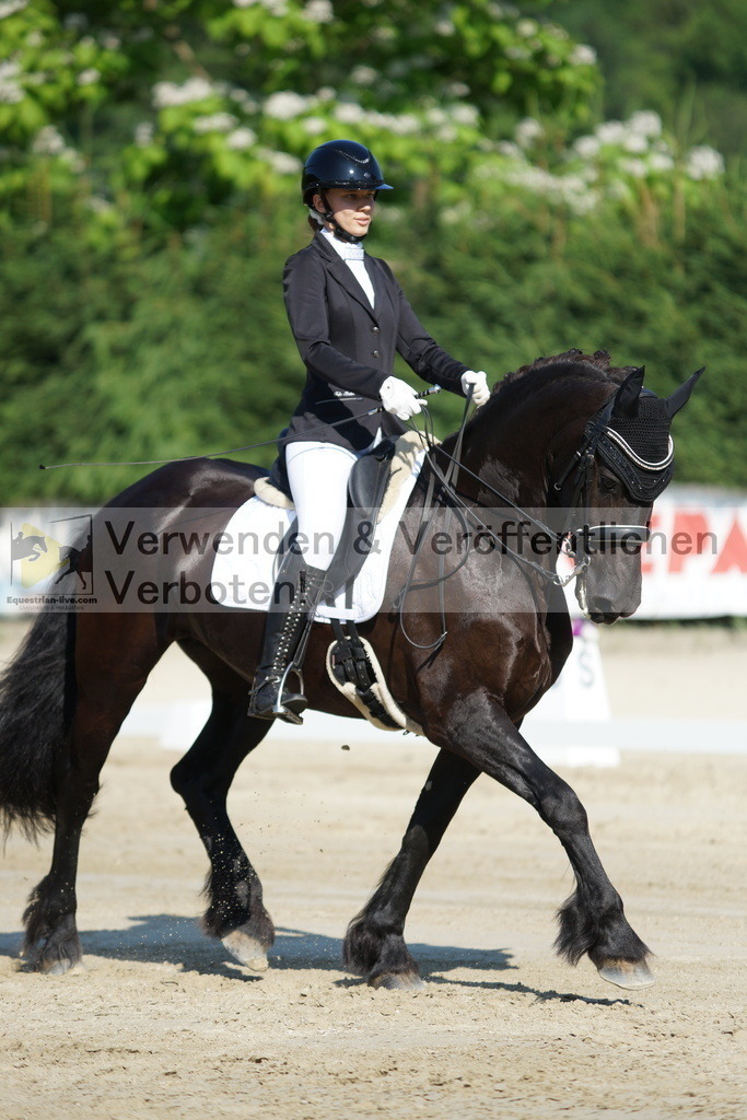 DSC02898 | equestrian-live-com