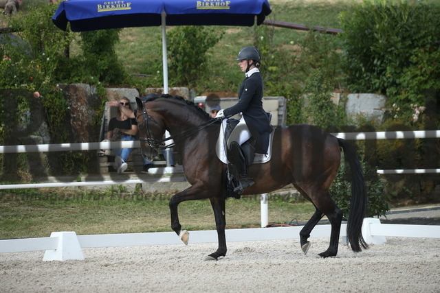 Birkhof_2022_GrandPrixSpecial_Nicole Isser_DiCaprio 4 (13) | Alle Fotos der Reiterjournal Fotografin Doris Matthaes im Reiterjournal Online-Fotoshop. - Realisiert mit Pictrs.com