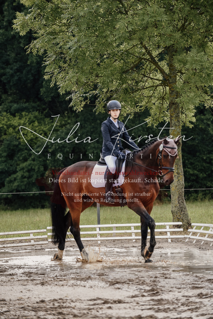 DSC_8583 | Pferde- und Turnierfotografie in Westsachsen. Pferdeportraits, Auftragszeichnungen und intuitive Kunst.