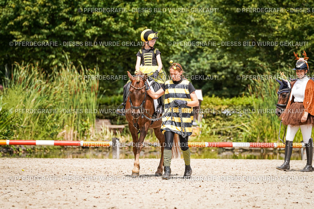 DSC02989 | Pferdegrafie