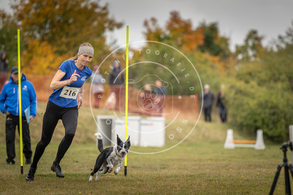 Pfotenfotografie_DV3A3528 | Hundefotografie, Tierfotograf, Pfotenfotografie, Fotoshooting Hund, Hunde Portrait, Hundesport, Hundeportraits, Heideshooting, Hunde, Sportfotograf, Hundefotograf, Turnierhundsport, THS,  - Realisiert mit Pictrs.com