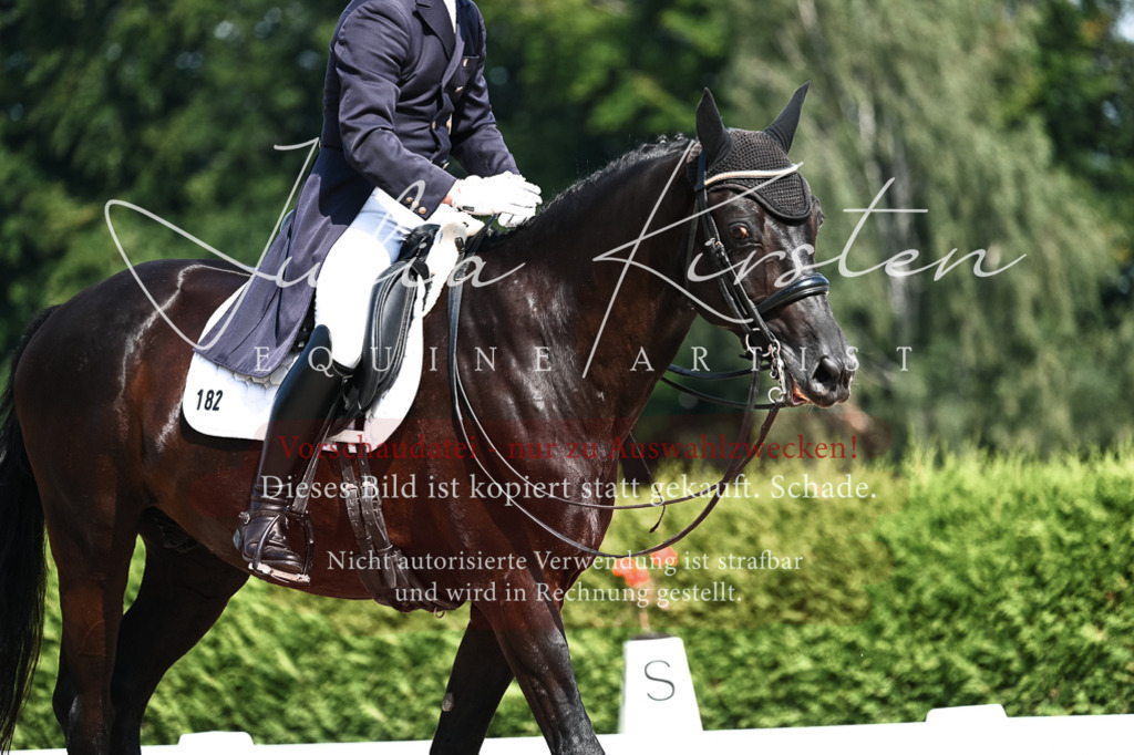 DSC_3038 | Pferde- und Turnierfotografie in Westsachsen. Pferdeportraits, Auftragszeichnungen und intuitive Kunst.
