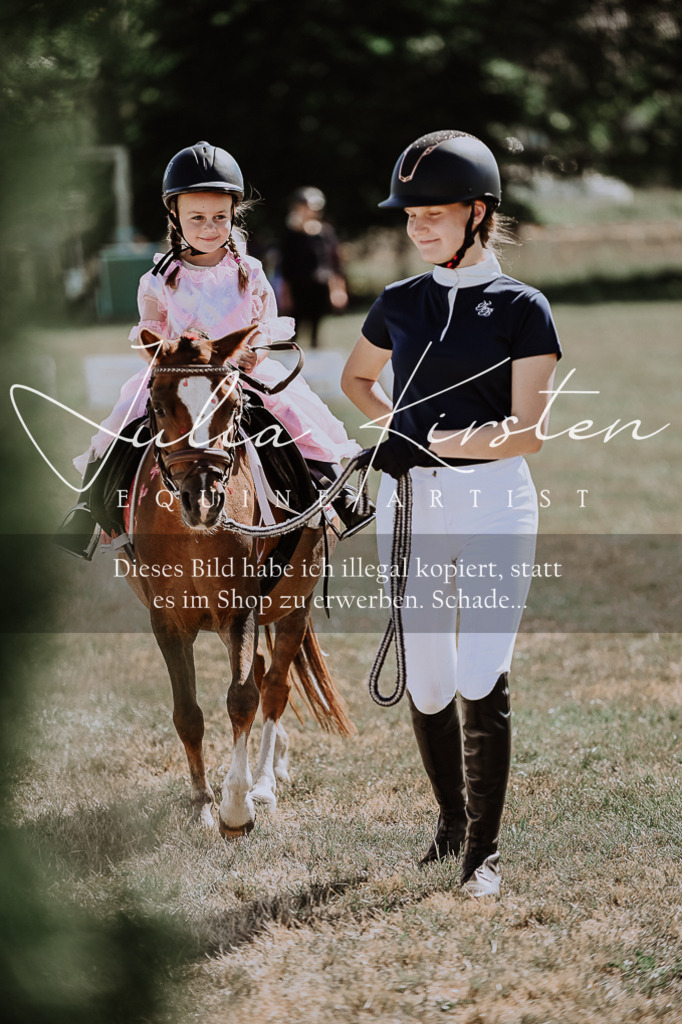 DSC_8997 | Pferde- und Turnierfotografie in Westsachsen. Pferdeportraits, Auftragszeichnungen und intuitive Kunst.