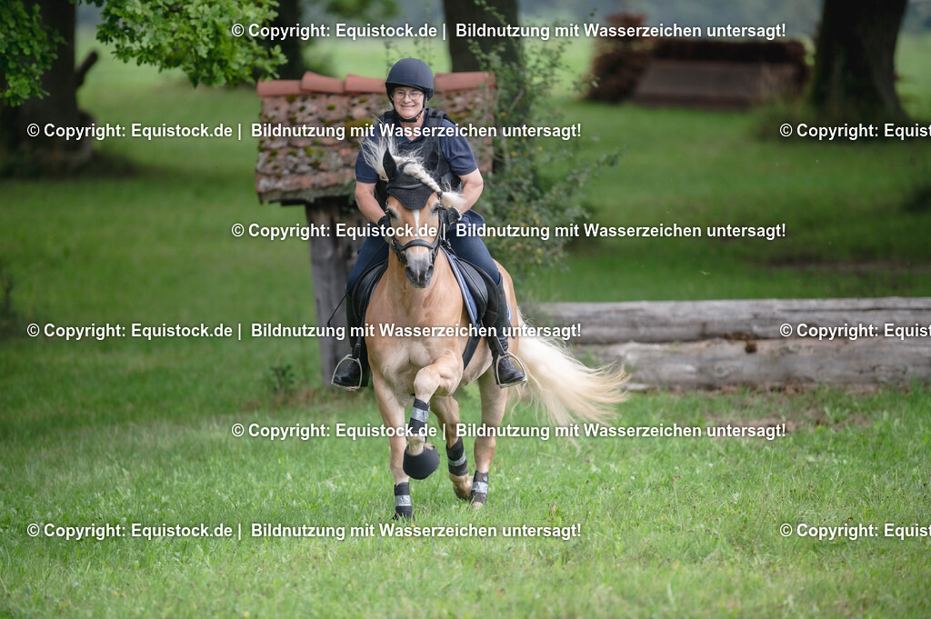 20250726_Vielseitigkeitslehrgang-Marbach_0513 | Foto: Thomas Hartig