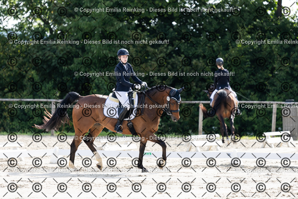 CL5A5577 | Emilia Reinking Fotografie - Realisiert mit Pictrs.com