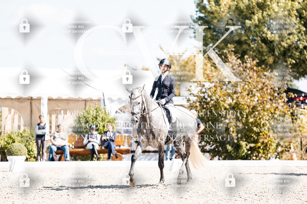 CK903780 | Turnierfotografie Pferdefotografie Trier Rheinland-Pfalz Pferdesport Reitsport Tierfotografie Sportfotografie Pferdevideo Pferdevideografie Equestrianvideography equestrianphotography  - Realisiert mit Pictrs.com
