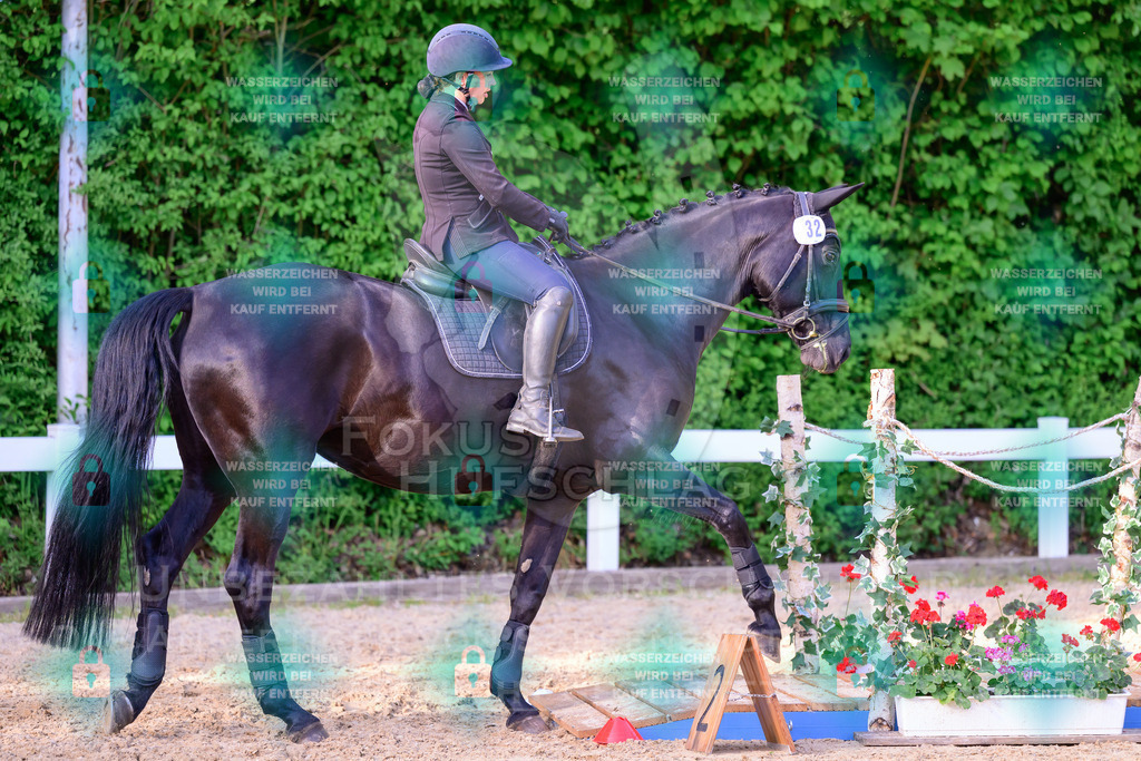 02052026-Giesenbach-03-Speedtrail-0697 | Fokus Hufschlag Fotografie - Realisiert mit Pictrs.com