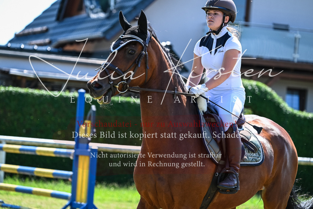 DSC_1205 | Pferde- und Turnierfotografie in Westsachsen. Pferdeportraits, Auftragszeichnungen und intuitive Kunst.