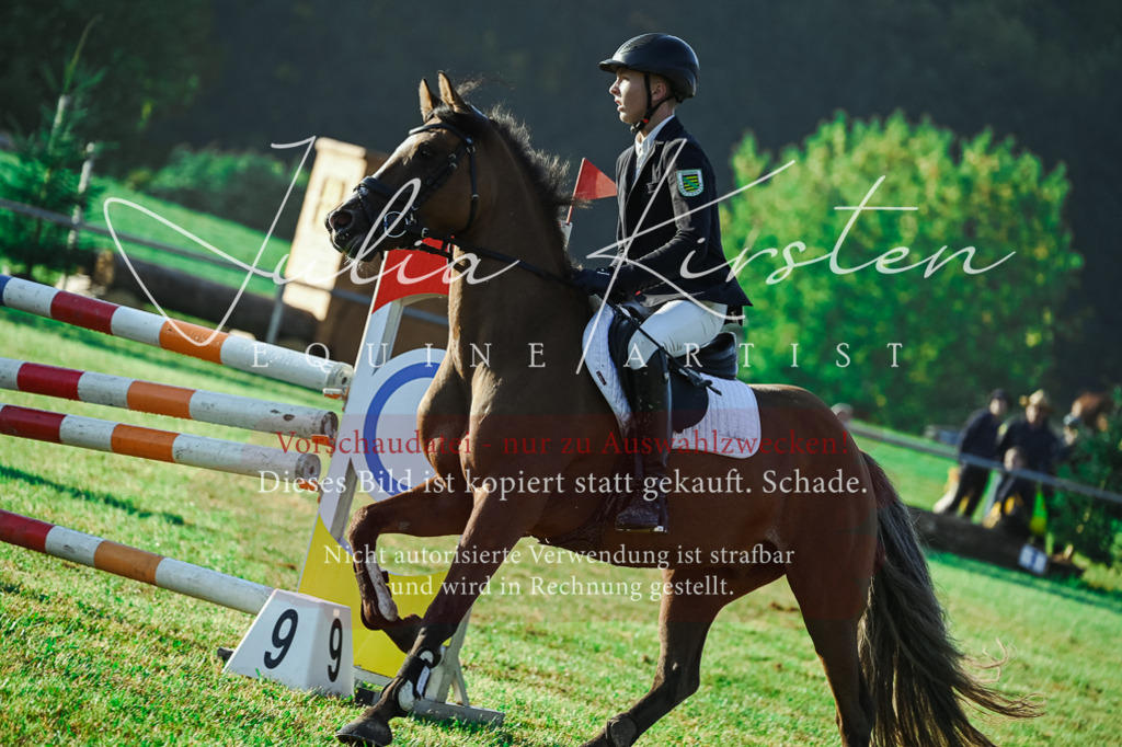 DSC_4120 | Pferde- und Turnierfotografie in Westsachsen. Pferdeportraits, Auftragszeichnungen und intuitive Kunst.