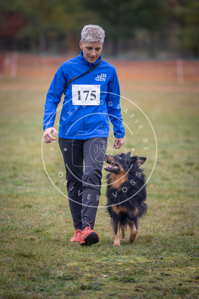 Pfotenfotografie_DV3A9312 | Hundefotografie, Tierfotograf, Pfotenfotografie, Fotoshooting Hund, Hunde Portrait, Hundesport, Hundeportraits, Heideshooting, Hunde, Sportfotograf, Hundefotograf, Turnierhundsport, THS,  - Realisiert mit Pictrs.com