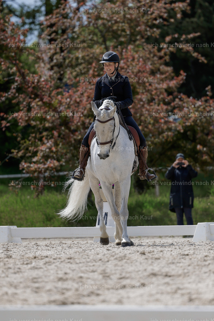 PI26_DR_246_Stoibphotography__AM10047.jpg | working equitationturnier fotograf videograf stoibphotography marixx film working equitation deutschland reitsport turnierfotografie eventfotografie equestrian events