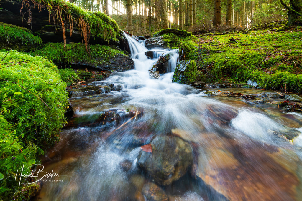 Lüttmecke bei Oberkirchen | Lüttmecke bei Oberkirchen im Schmallenberger Sauerland - Realisiert mit Pictrs.com