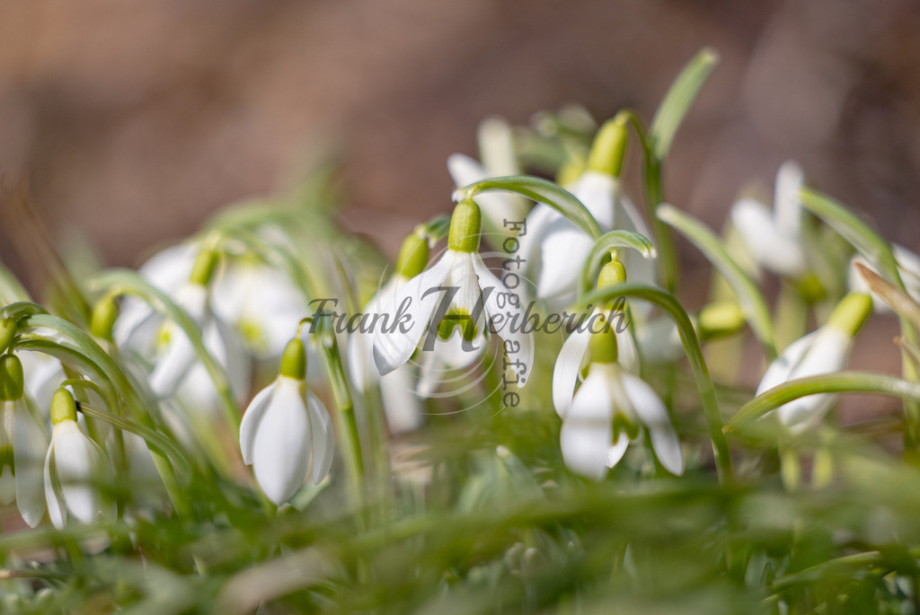 _X0A8408bea | Frank Herberich Fotografie, Frank Herberich, Fotografie, Hochzeit, Portrait, St. Peter Ording, Ording, Westerhever, Nordsee, Frank Fotografie, Hardheim,  Odenwald,Walldürn, Band,Eventfotografie - Realisiert mit Pictrs.com