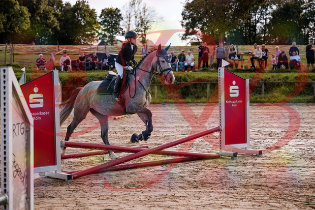 2026_10_03_Siefer-Hof_145054_Z81_29084985 | Professionelle Reitsport-, Turnier- und Eventfotografie von Robert Broda. Galerien mit ausgewählten und bearbeiteten Bildern direkt online ansehen und bestellen.