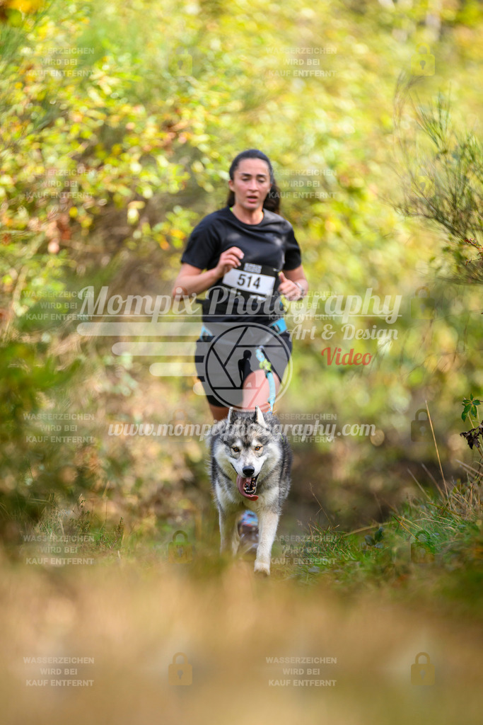 MompixPhotography_20TSB_E4_Run-205 | PayLife