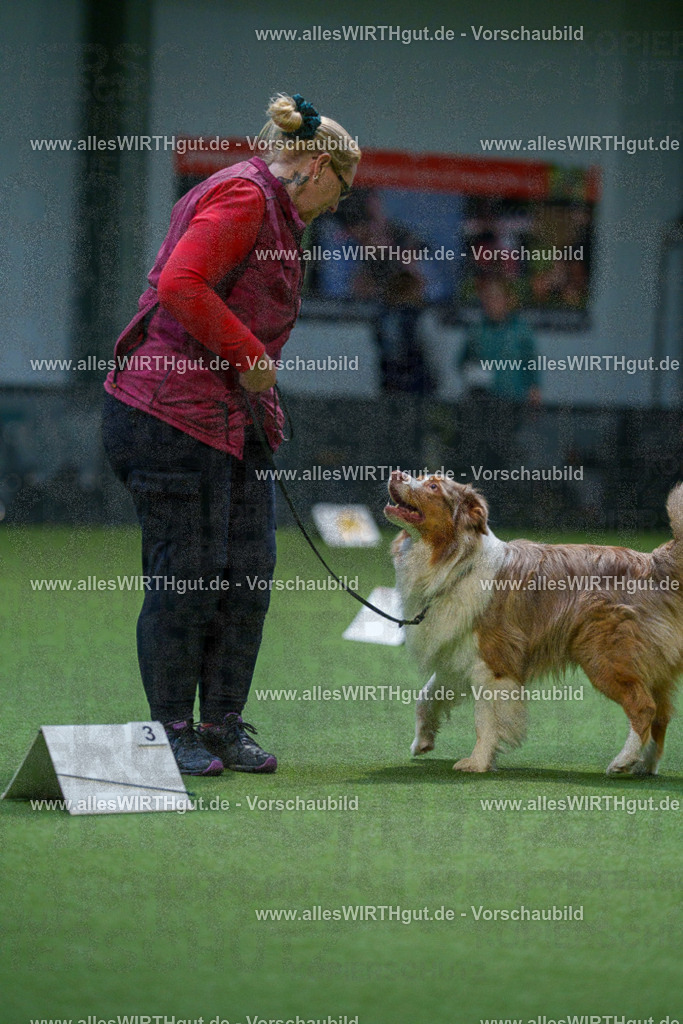 7R500685 | Professionelle Tierfotografie in Mönchengladbach von Daniel Wirth (allesWIRTHgut). Liebevolle & natürliche Bilder von Hunden & Katzen für unvergessliche Erinnerungen.