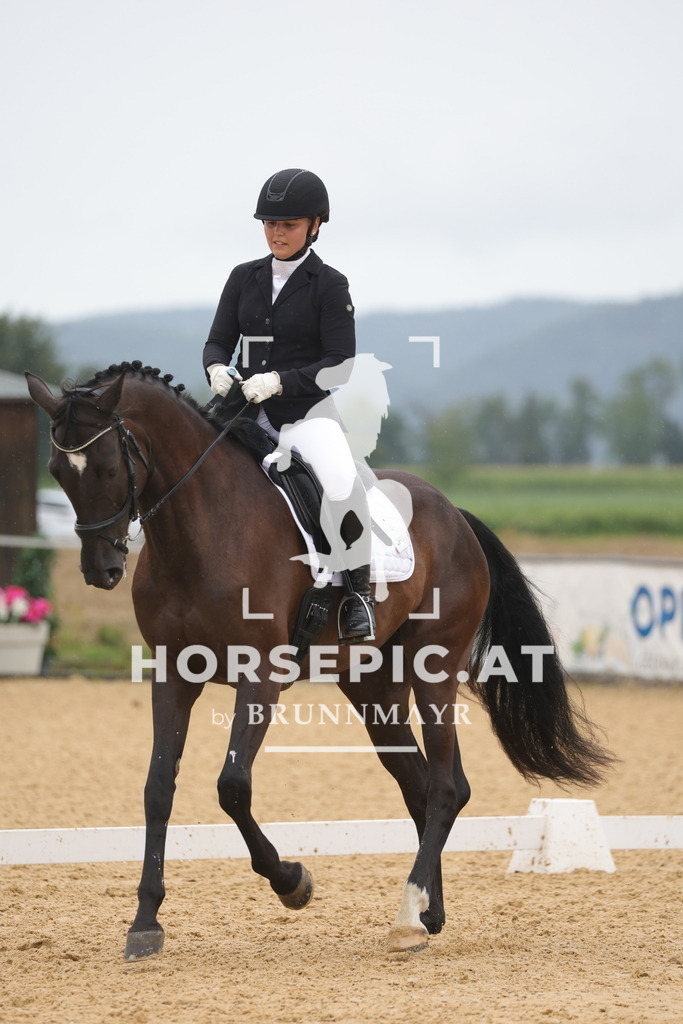 0P6A0611 | Willkommen bei Brunnmayr - Design & Fotografie – Ihrem Spezialisten für Reitturniere und Pferdeveranstaltungen in Oberösterreich, Salzburg und Bayern! Seit über 17 Jahren sind wir leidenschaftlich dabei.