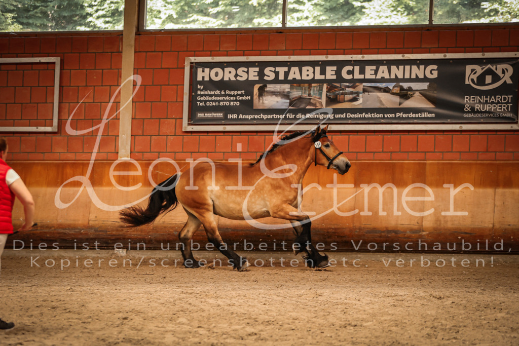 SaFL00112 | Leoni Ertmer Photography - Realisiert mit Pictrs.com