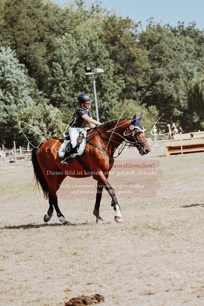 DSC_9811 | Pferde- und Turnierfotografie in Westsachsen. Pferdeportraits, Auftragszeichnungen und intuitive Kunst.