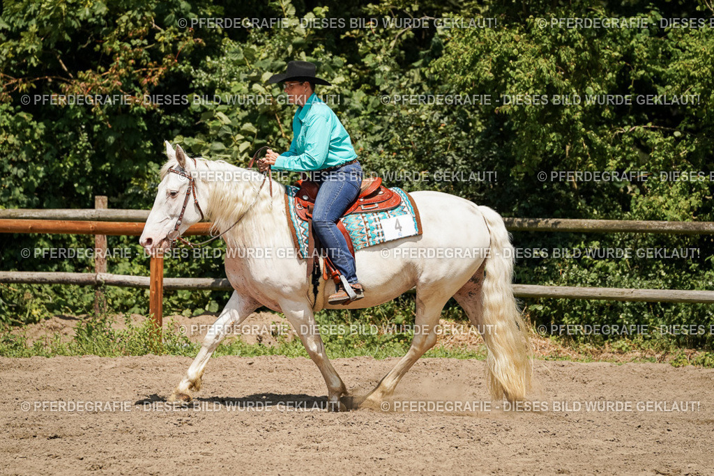 DSC09631 | Pferdegrafie