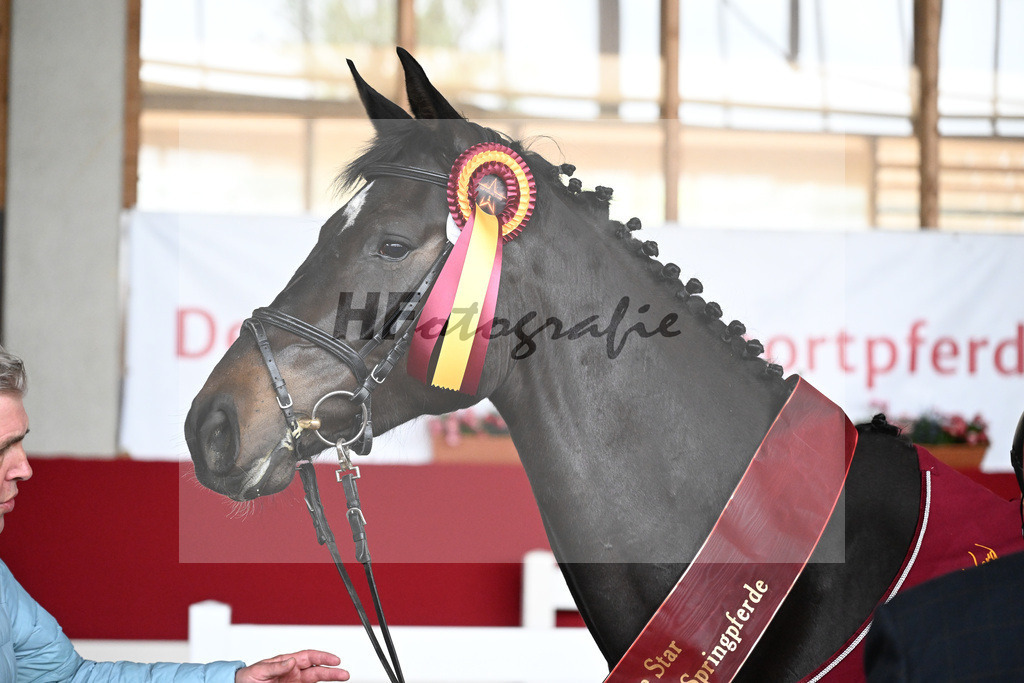 Kat-Nr. 23 Celina v. Chubakko_Ostermann_9240606 | hf-fotografie - Realizzato con Pictrs.com