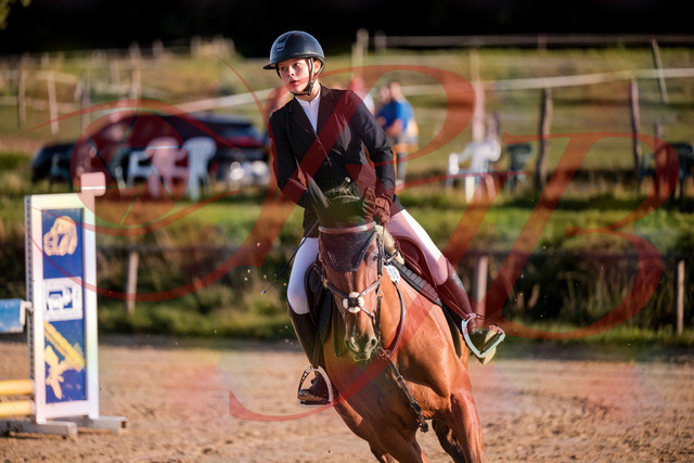 2026_10_03_Siefer-Hof_170923_Z81_06577796 | Professionelle Reitsport-, Turnier- und Eventfotografie von Robert Broda. Galerien mit ausgewählten und bearbeiteten Bildern direkt online ansehen und bestellen.