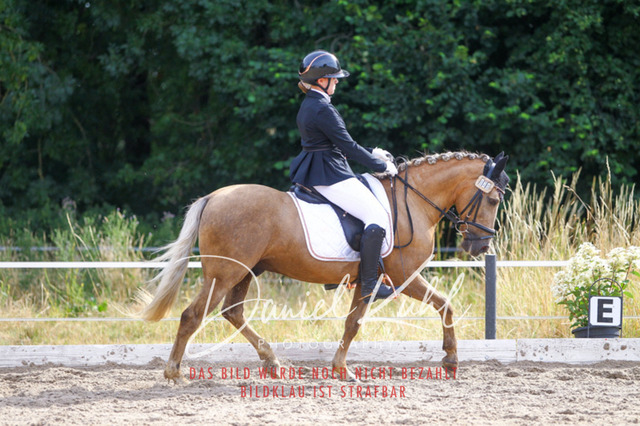 DKP45758 | Turniersportfotografie; Pferdefotografie; Dressurfotografie