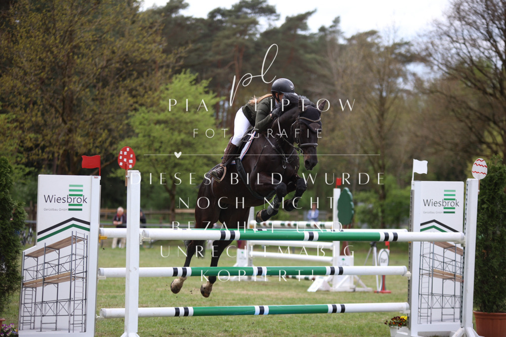 IMGT1690 | pl-fotografie