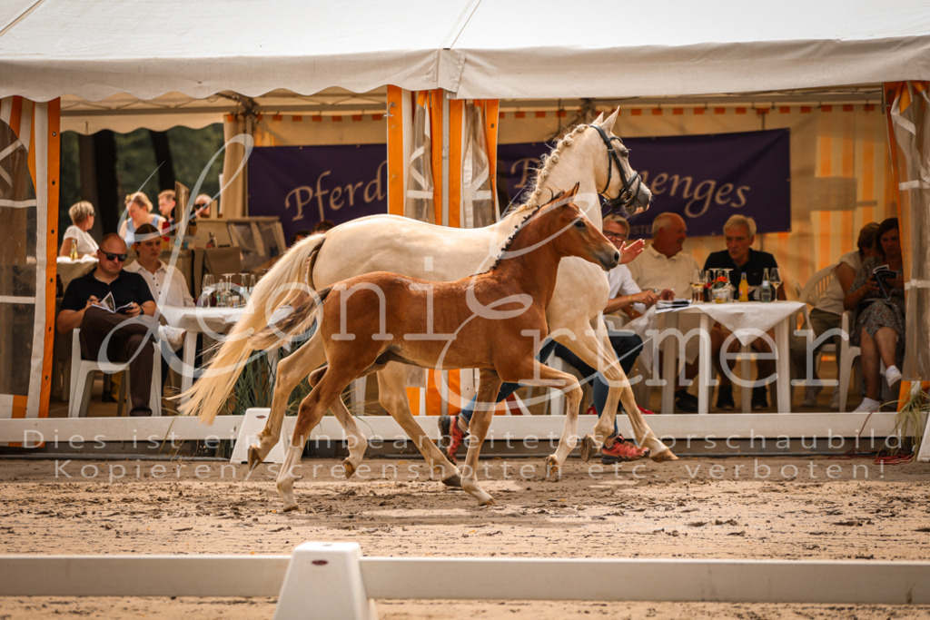 SaPA00095 | Leoni Ertmer Photography - Realisiert mit Pictrs.com