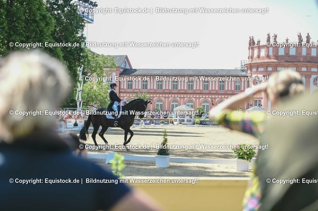 D78_3421 | equistock