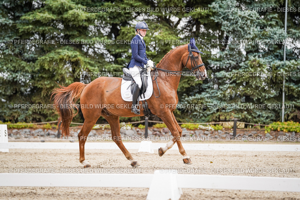 DSC02786 | Pferdegrafie