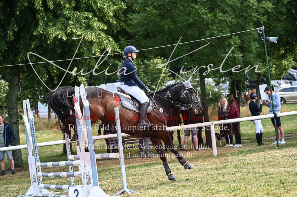 DSC_8122 | Pferde- und Turnierfotografie in Westsachsen. Pferdeportraits, Auftragszeichnungen und intuitive Kunst.