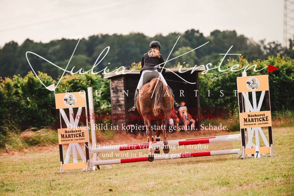 DSC_6881 | Pferde- und Turnierfotografie in Westsachsen. Pferdeportraits, Auftragszeichnungen und intuitive Kunst.