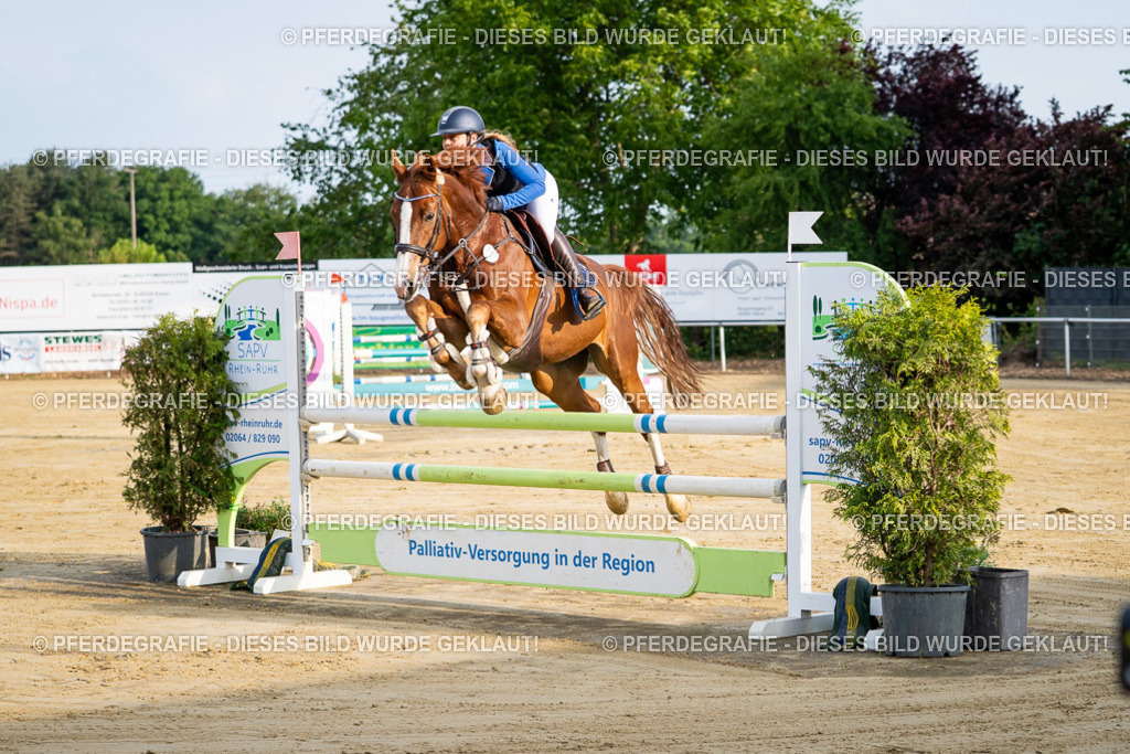 DSC01960 | Pferdegrafie