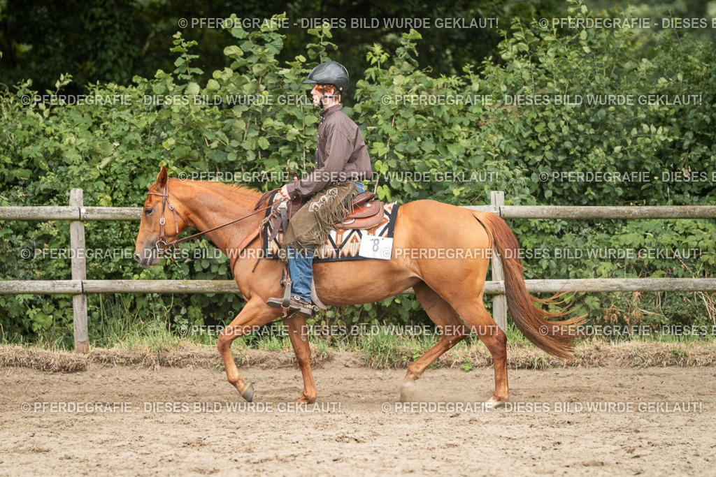 DSC03846 | Pferdegrafie