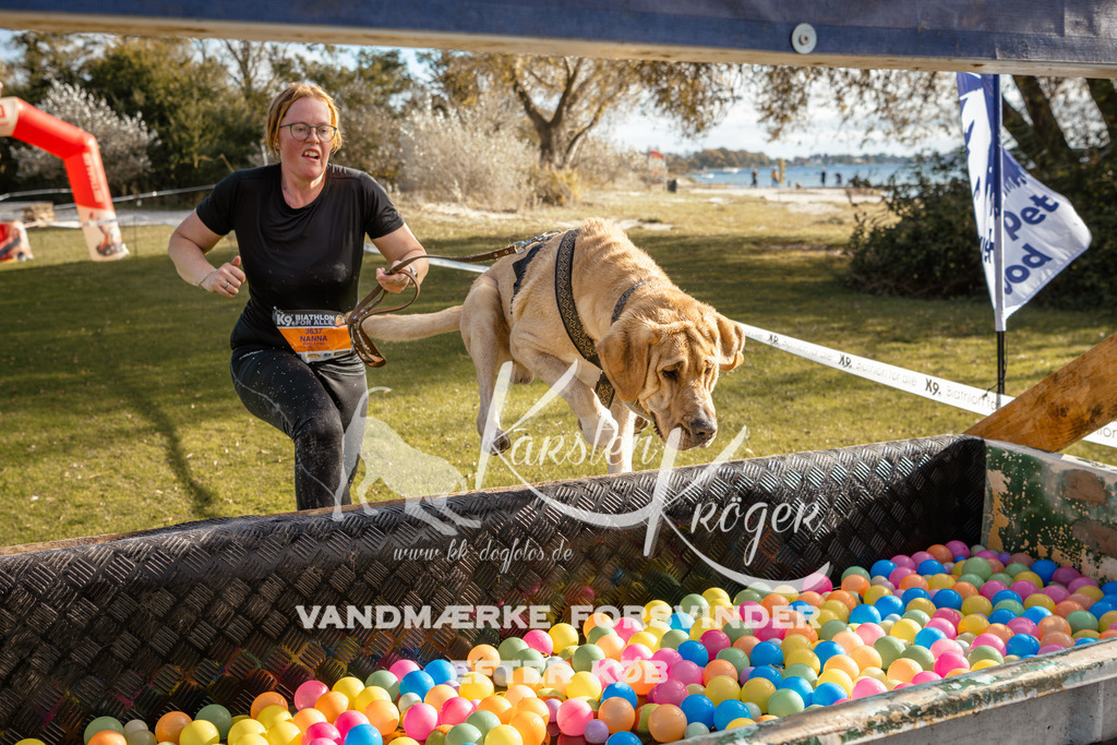 1457_ZZ95434-2 | kk-dogfotos