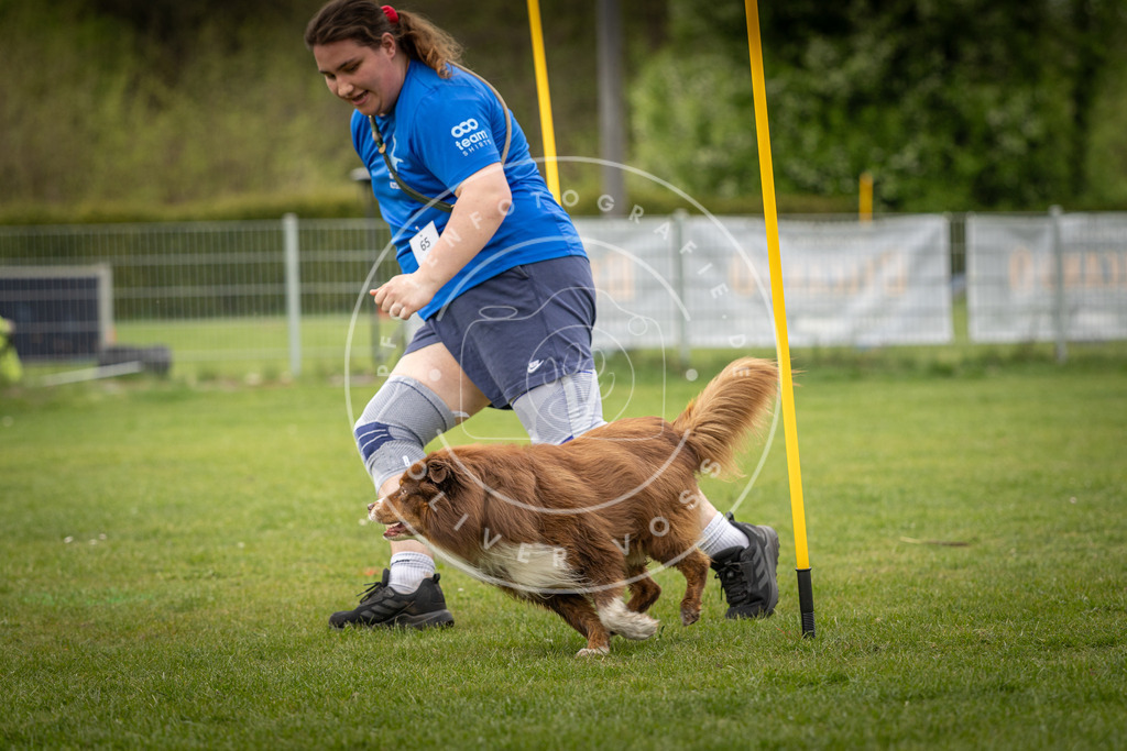 Pfotenfotografie_DV3A1966 | Hundefotografie, Tierfotograf, Pfotenfotografie, Fotoshooting Hund, Hunde Portrait, Hundesport, Hundeportraits, Heideshooting, Hunde, Sportfotograf, Hundefotograf, Turnierhundsport, THS,  - Realisiert mit Pictrs.com