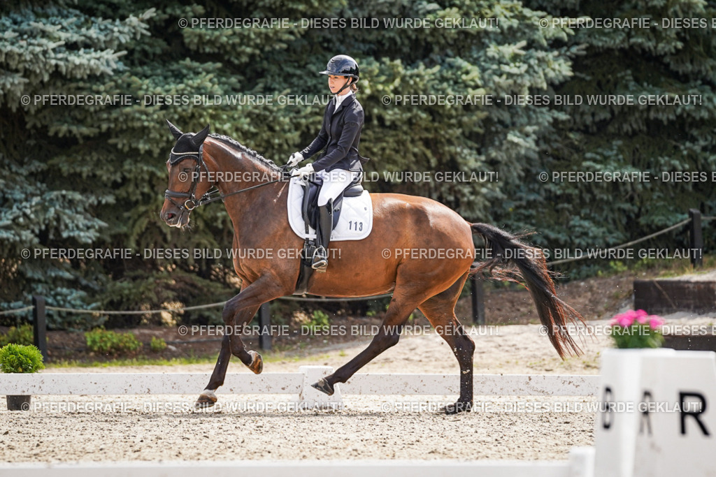 DSC08603 | Pferdegrafie