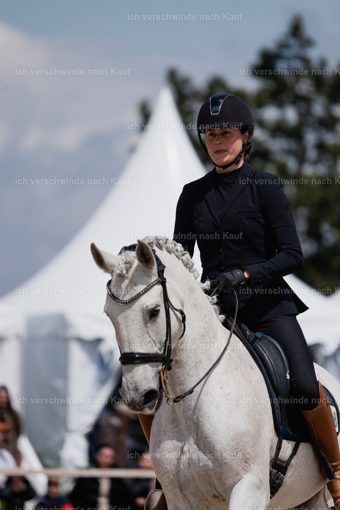 PI26_SP_StoibphotographyC2_C3244.CR3 | working equitationturnier fotograf videograf stoibphotography marixx film working equitation deutschland reitsport turnierfotografie eventfotografie equestrian events