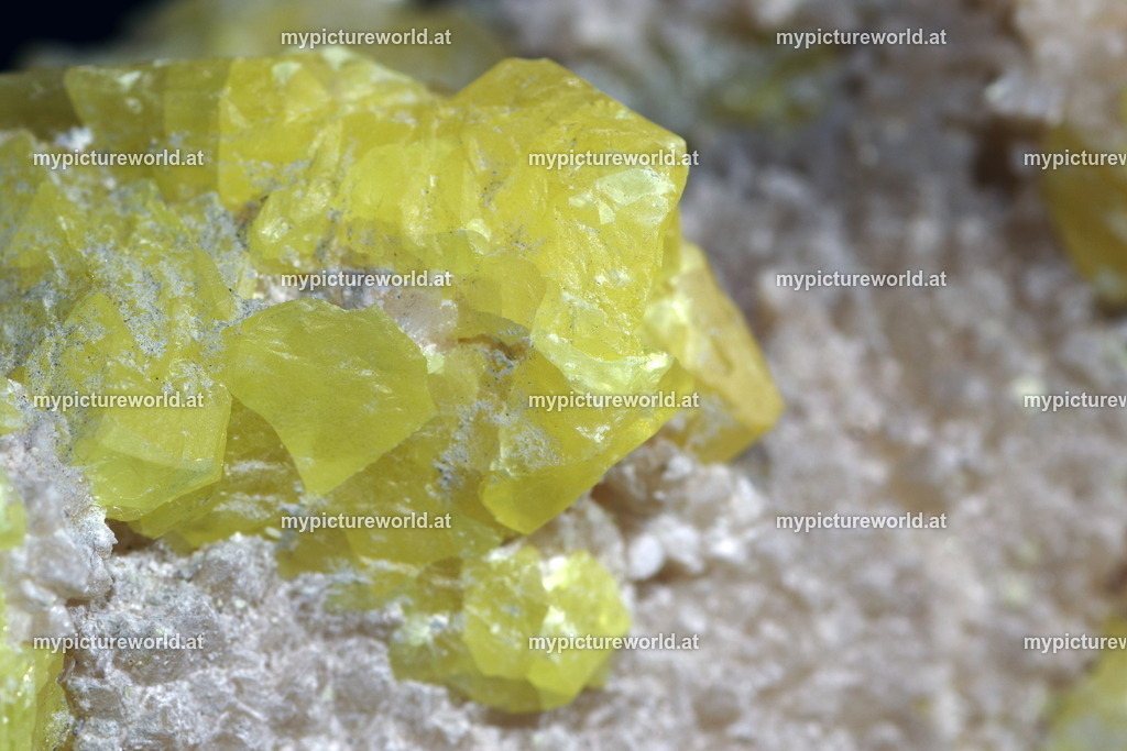 Schwefel-006 | Das Bilderarchiv über Tiere, Planzen und Landschaften. In der Bilddatenbank finden Sie ein große Auswahl an hochwertigen Bilder für Ihre Werbung - Realisiert mit Pictrs.com
