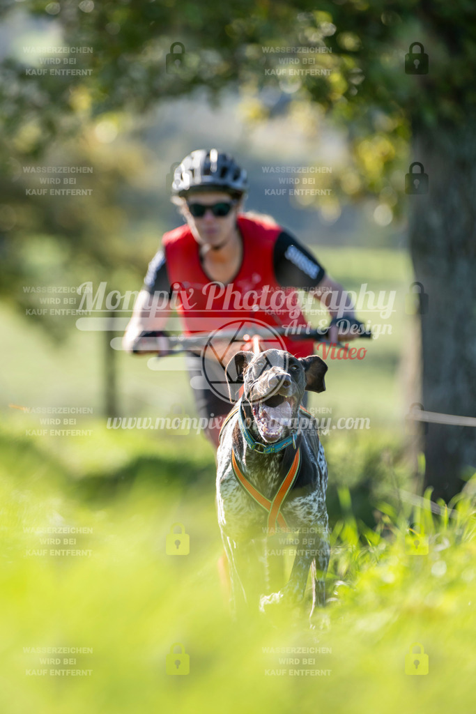 MompixPhotography_20TSB_E3_DS1-80 | PayLife