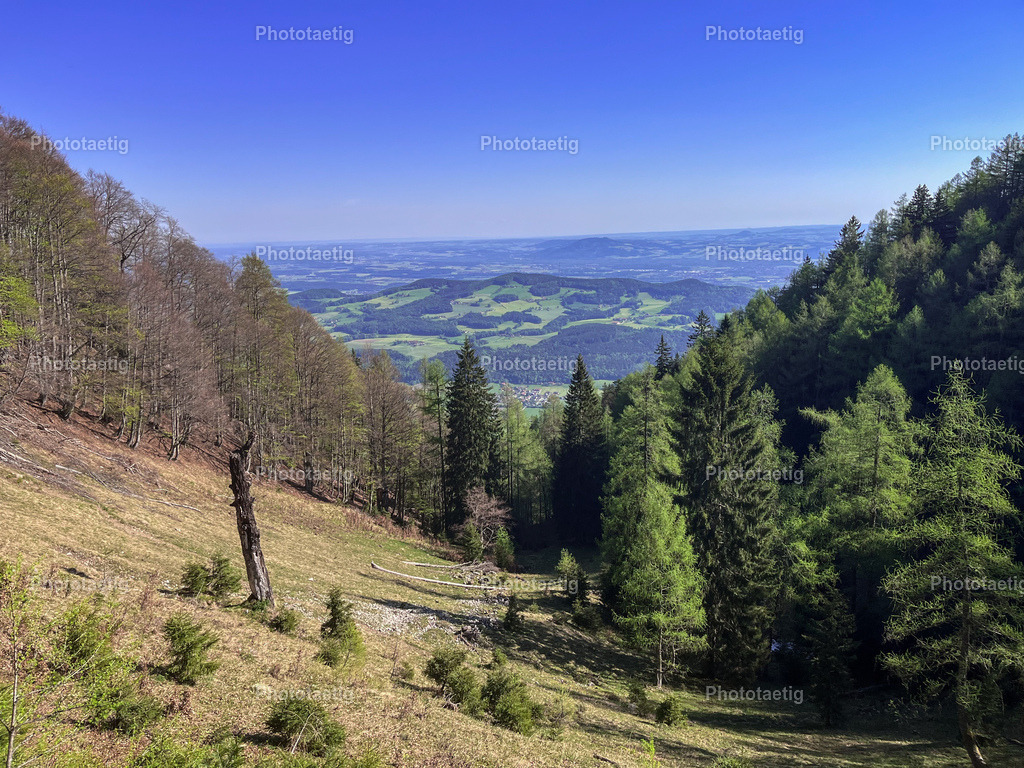 IMG_2160 | phototaetig