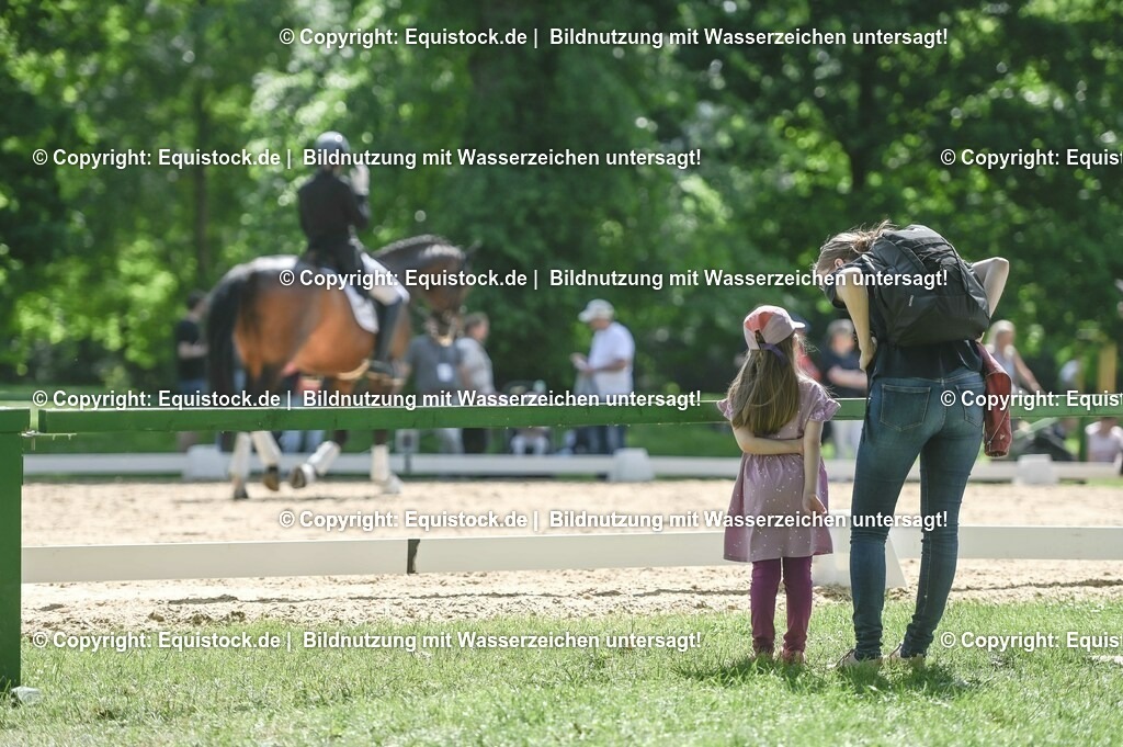 D78_2878 | equistock