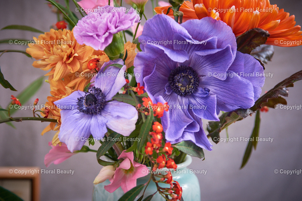 Strauss_alte_Meister_lila_orange | Lila-oranger Blumenstrauß im Stil der alten Meister auf grauem Untergrund - Realisiert mit Pictrs.com