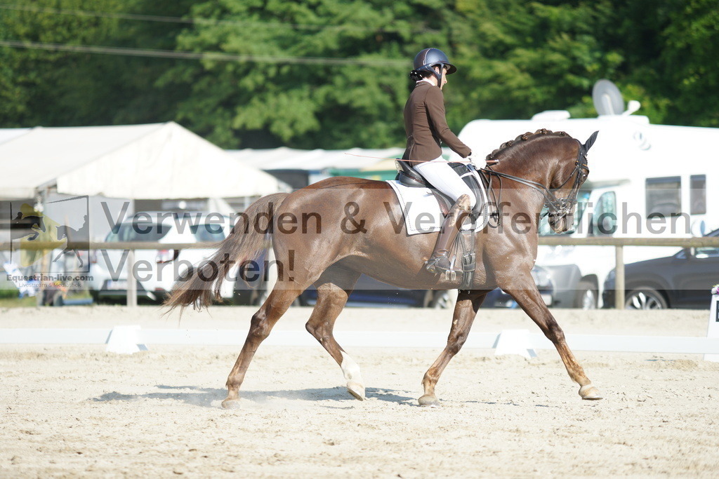 DSC02530 | equestrian-live-com