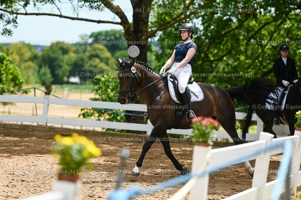 20230715_05_Dressurprüfung Kl.A++_0369 | equistock